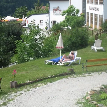 公寓 Idyllische Ferienwohnung Mit Blick Auf Die Donau - B48596 *